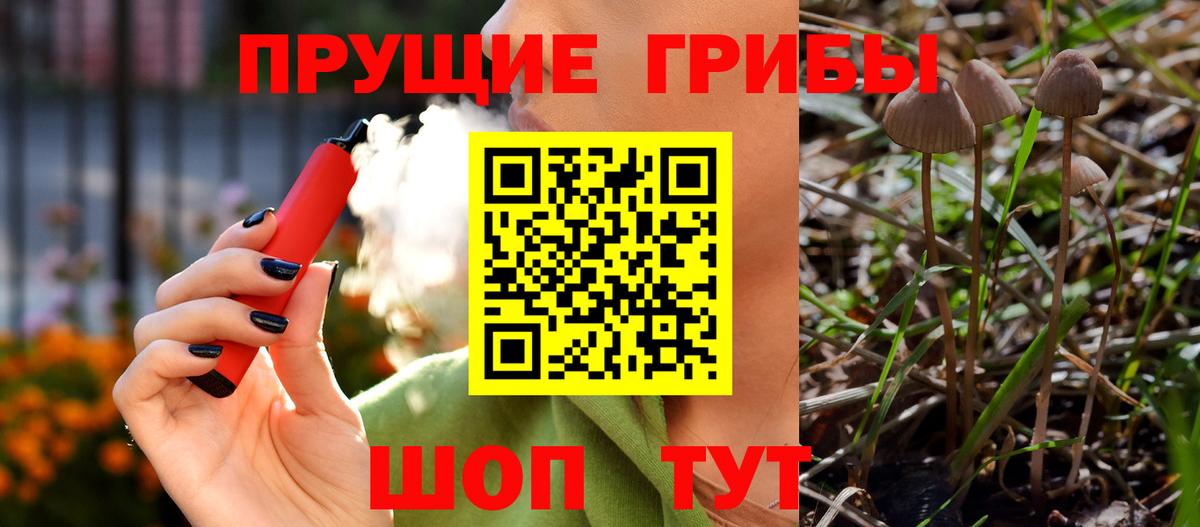 Галлюциногенные грибы прущие грибы  Вход с VPN  Красный Сулин 